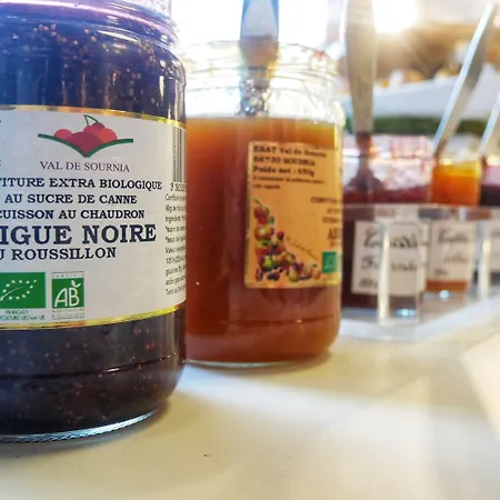 Novotel Sud A9/a61 4*