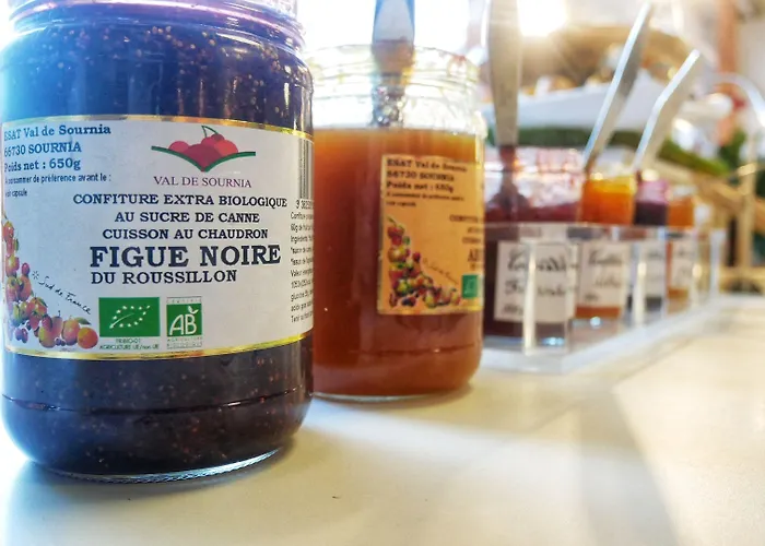 Novotel Sud A9/a61 4*